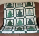 Kim First Quilt