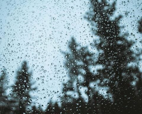 Rainy Window