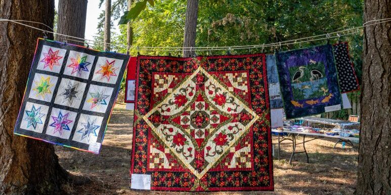 Quilts in Show