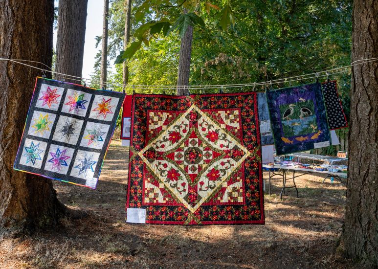 Quilts in Show